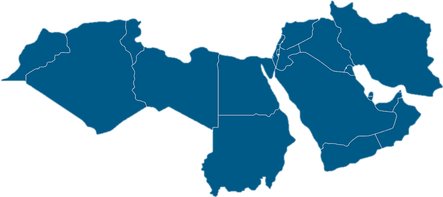 MENA data image