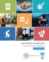 survey-economic-social-developments-2020-2021-arabic