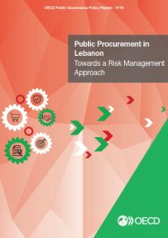 PP Towards a risk mgt approach - OECD